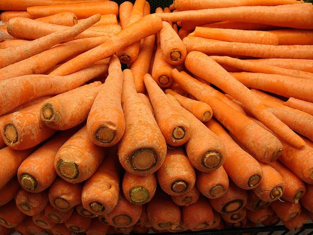 Red/Black/Orange Carrots (Daucus carota)