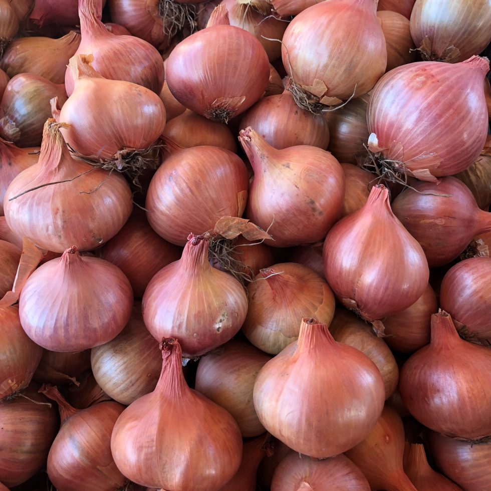 Red onions32