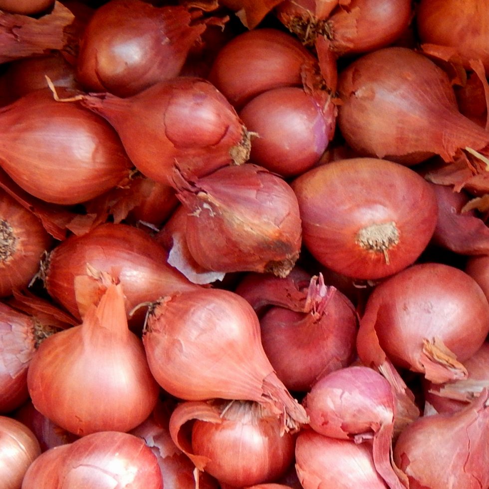 Red onions3