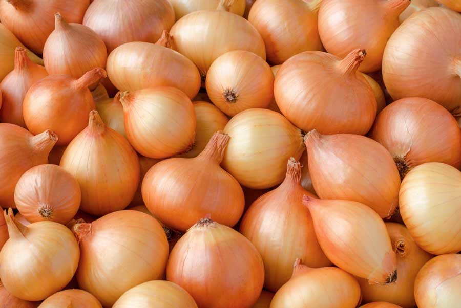 Jesmond-Fruit-Barn-Brown-Onions-900x602