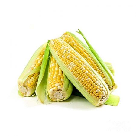 corn (1)