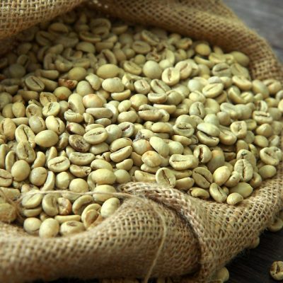 Natural Green Unroasted Fresh Coffee Beans